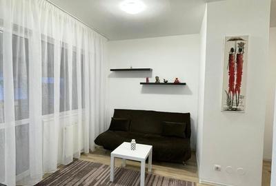 Garsonieră semidecomandată, mobilată în Valea Ialomiței - 2