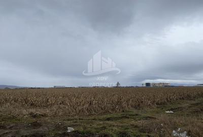 Teren Construcții intravilan de 5000 mp, în Industrial Vest - 3