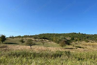 Teren de vanzare 11.400 mp, str. Podgorenilor, Dej - 1