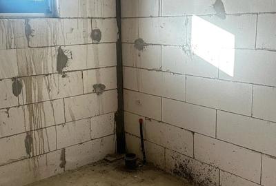 Case de vanzare in Dr Tr Severin, cartier Banovita - 9