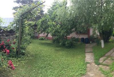 Casă cu 8 camere cu Teren 2000 Mp în Coțofenești - 7