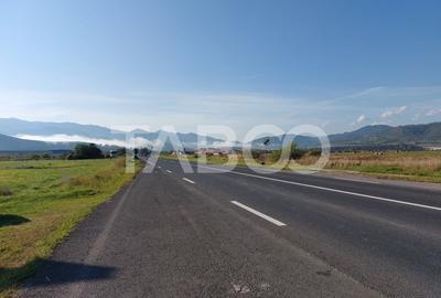 Teren de vanzare 5000 mp PUZ  pentru hala zona industraila  Talmaciu - 2