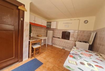 Poveste saseasca la umbra vitei de vie, cu crama si gradina cu flori, Central Co - 42