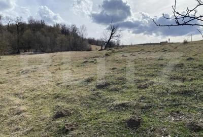 Teren de 7500 mp, în Central - 5