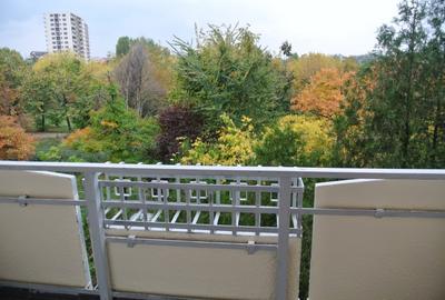 PARTICULAR, Apartament 2 camere, decomandat, Tineretului, de inchiriat - 10