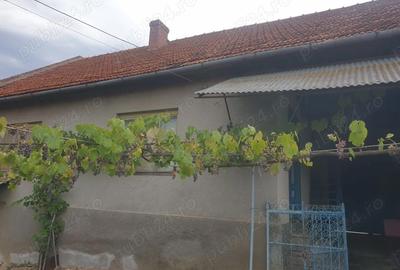 Casă cu 3 camere în Dezești - 6
