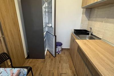 Apartament cu 2 camere semidecomandat, mobilat în Domenii - 6