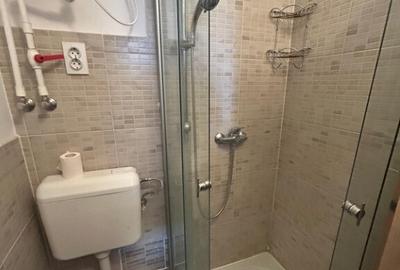 Camera de camin cu baie si bucatarie, etaj 1, Florilor - Albastrelelor - 1