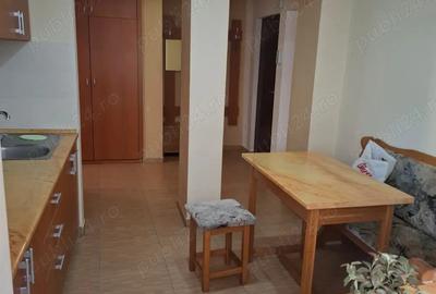 Apartament cu 2 camere decomandat în Podgoria