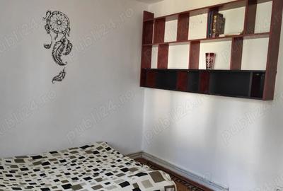 Apartament cu 3 camere decomandat în Dâmbu Pietros - 9