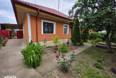 Casă cu 3 camere cu Teren 1260 Mp în Central - 9