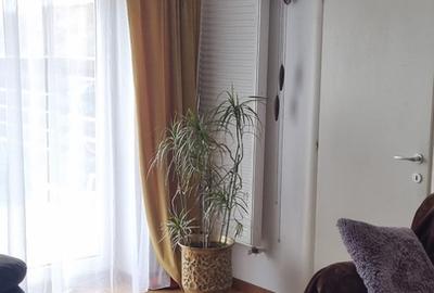 Casă cu 4 camere cu Teren 180 Mp în Pipera - 2