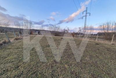 Teren de vanzare – 2.106 mp, agricol extravilan, Calinis, Rasinari - 5