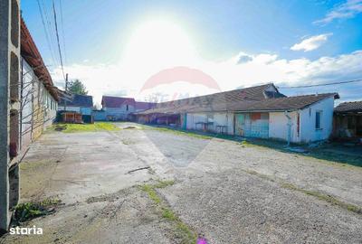 Spațiu comercial, de 820 mp, în Girișu de Criș - 5