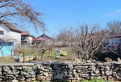 Spațiu comercial, în Limanu - 3