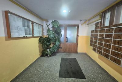 Vanzare apartament 3 camere zona Calea Bucuresti Str. Zorilor Etaj intermediar - 25