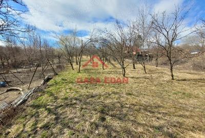 Casă cu Teren 3676 Mp în Poiana - 6