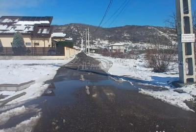 Teren de 6345 mp, în Aninoasa - 3