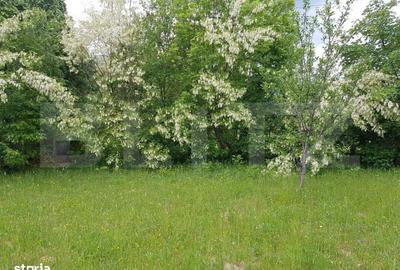 Spațiu comercial, în Predeluț - 2