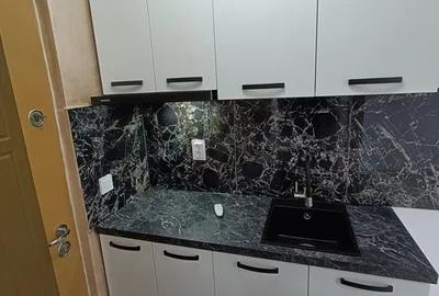 Garsonieră decomandată, mobilată în Podu Roș - 2