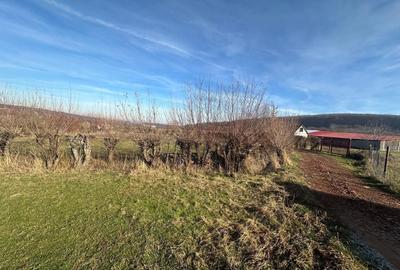 Teren Construcții intravilan de 1080 mp, în Rășinari - 7