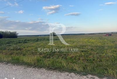 Teren de 2000 mp, în Tămășeu - 4