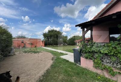 Casă cu 3 camere cu Teren 875 Mp în Botizului - 9