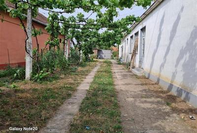 CASA 4 CAMERE HOREA -ARAD - 4