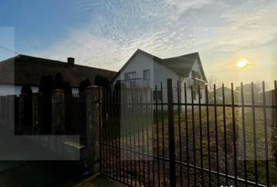 Casă cu 7 camere cu Teren 938 Mp în Peciu Nou - 3