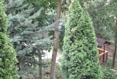 Casă cu 6 camere în Central - 4