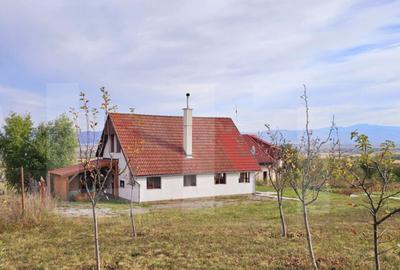 Casa de vanzare, sub padure, intr-un cadru natural deoseb - 14