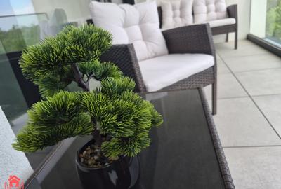 Apartament cu 3 camere semidecomandat, mobilat în Băneasa - 9