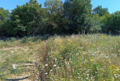 Spațiu comercial, în Corunca - 6
