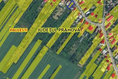 Teren intravilan Cocosesti-Paulesti - 3