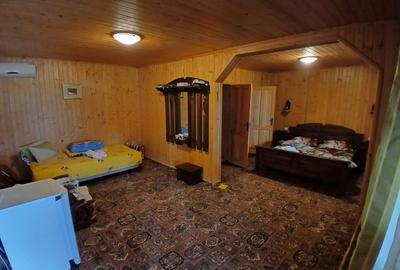 Casă cu 5 camere cu Teren 10208 Mp în Eșelnița - 2