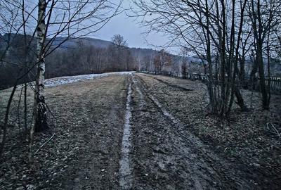 Teren de 5000 mp, în Șinca - 2