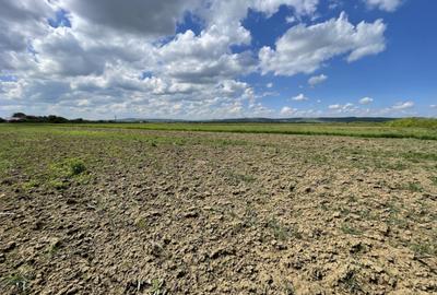 Teren la 13 KM de Baia Mare - 7