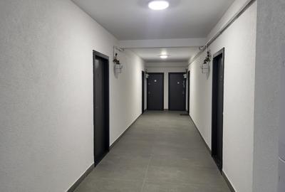 Apartament cu 2 camere semidecomandat, mobilat în Lunca Cetățuii - 10