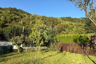 Casa de vacanta pe Valea Lotrioarei in cadru de vis - 3