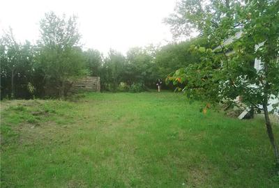 Teren de 7050 mp, în Albota