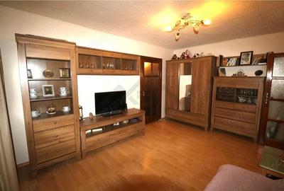 Apartament cu 2 camere, mobilat în Bucovina - 8
