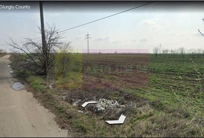 Teren în Copăceni - 1