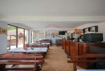 Casă cu 10 camere cu Teren 515 Mp în Vârtop - 8