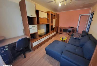 Apartament cu 2 camere decomandat în Siderurgiștilor - 4