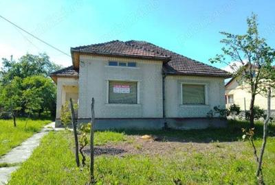 Casa in Viile Satu Mare cu 41 ari teren - 1