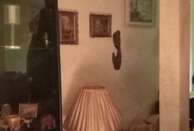 Casă cu 3 camere cu Teren 1520 Mp în Iancului - 4