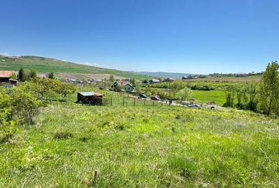 Teren de 900 mp, în Nord-Vest - 3