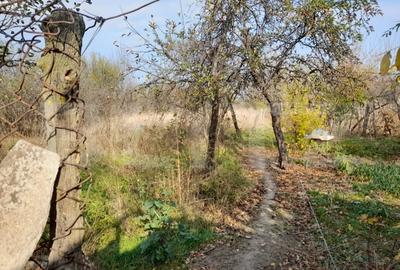 Teren 1160 mp + casa batraneasca, zona Cosoveni - 3