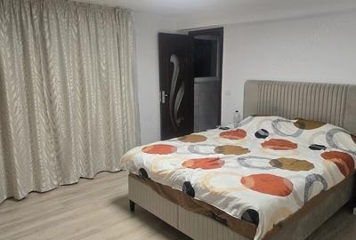 Casă cu 6 camere cu Teren 483 Mp în Domnești