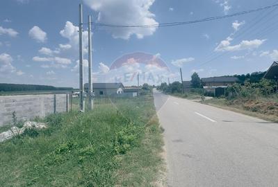 Teren Construcții intravilan de 3700 mp, în Coțofenii din Dos - 5